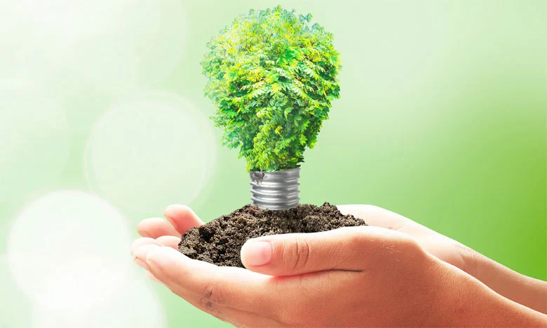 Green Business Incubator 2024 : Lancement de l’appel à candidatures